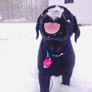 roblox大胸美女被❌网站
